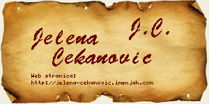 Jelena Čekanović vizit kartica